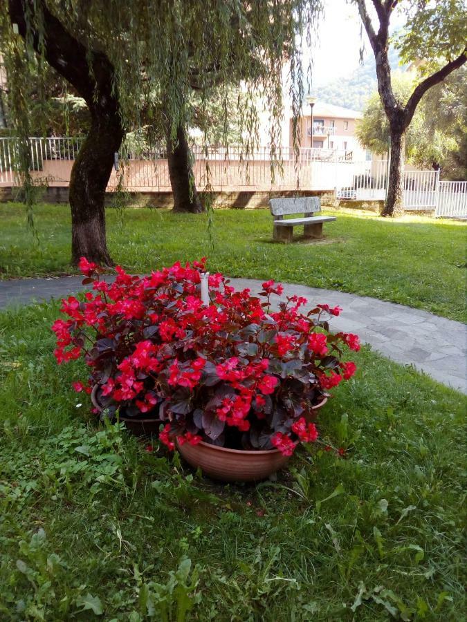 Casa Vacanze Moggio Moggio  Exteriér fotografie